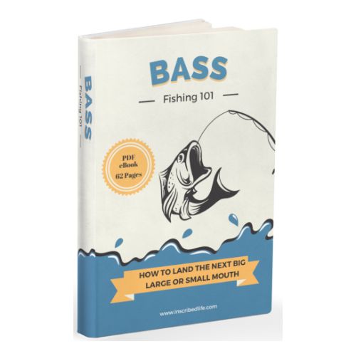 An illustration of a bass fish being caught over a beige cover above an illustration of water