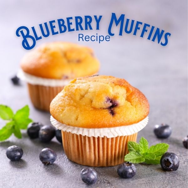 Blueberry Muffin Recipe