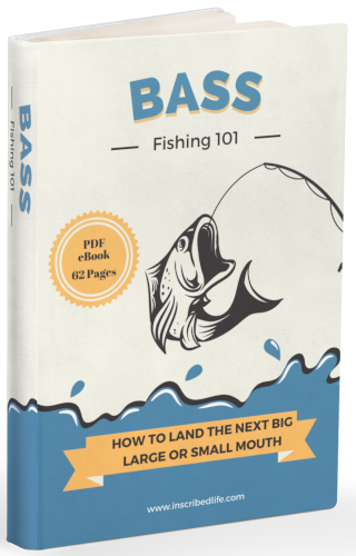 Bass Fishing 101 PDF eBook