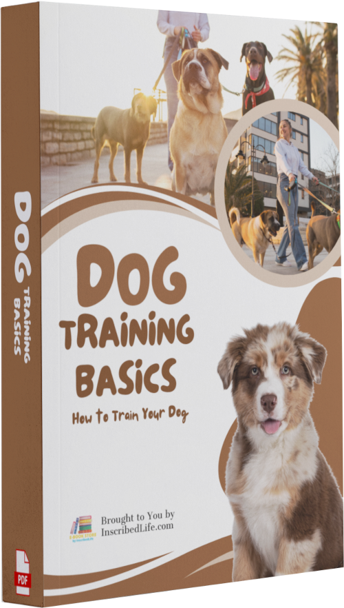 Dog Training Basics PDF eBook