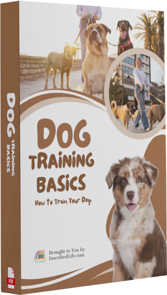 Dog Training Basics PDF eBook