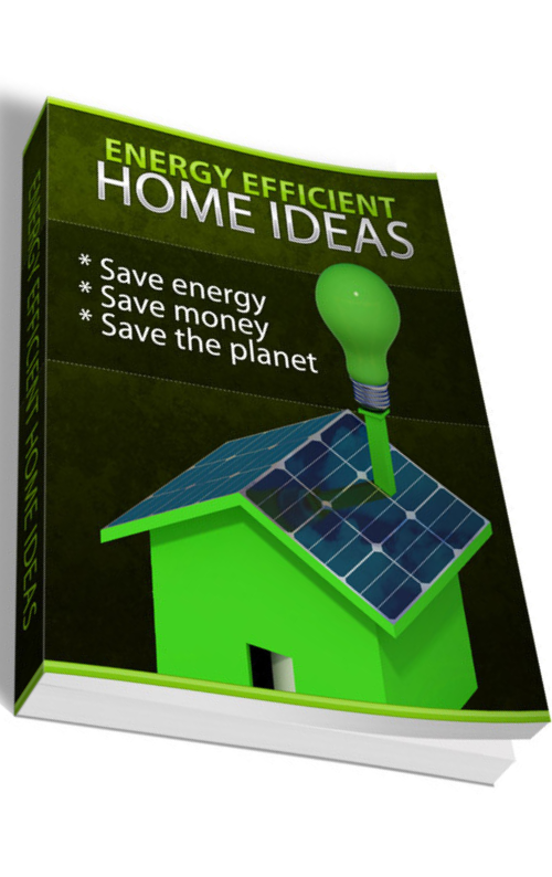 Energy Efficient Home Ideas PDF eBook