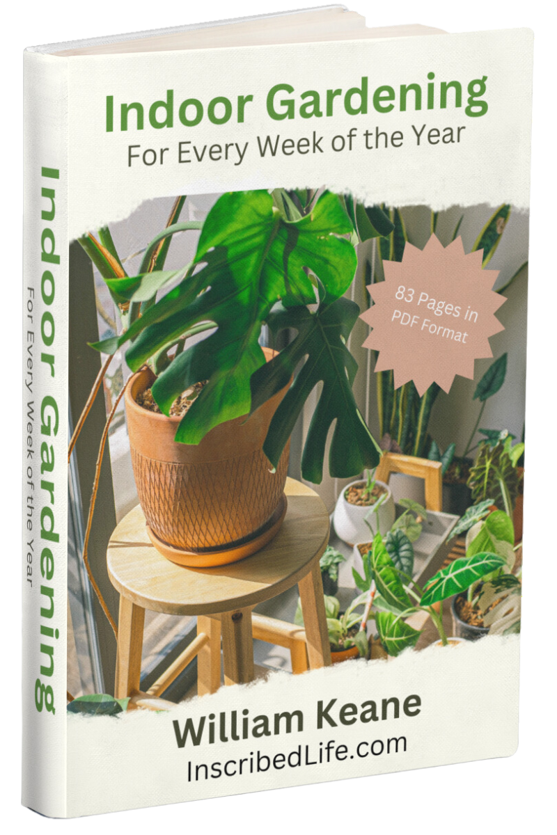 Indoor Gardening PDF eBook