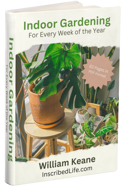 Indoor Gardening PDF eBook