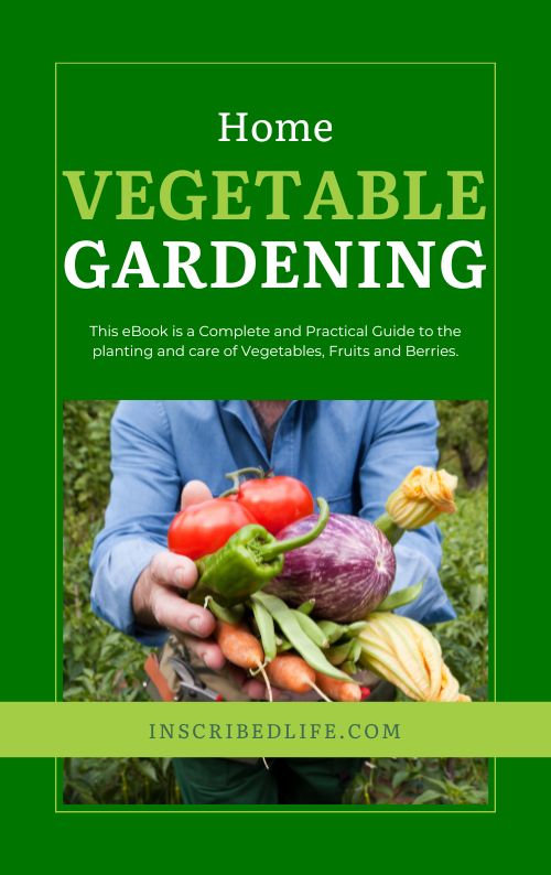 Home Vegetable Gardening eBook