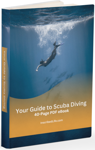 Your Guide to Scuba Diving eBook